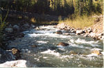 Canyon Creek